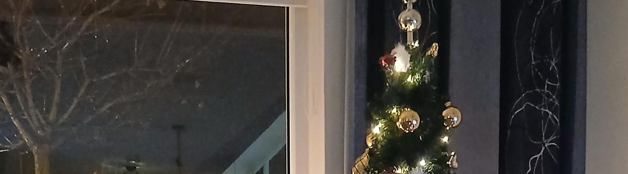 Nancy Van Den Heuvel