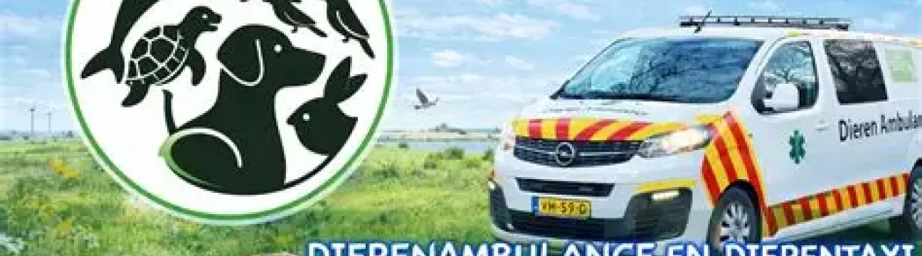 dierenambulance en dierentaxi de waadhoeke
