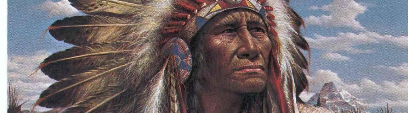 Nancy's Indianen Groep