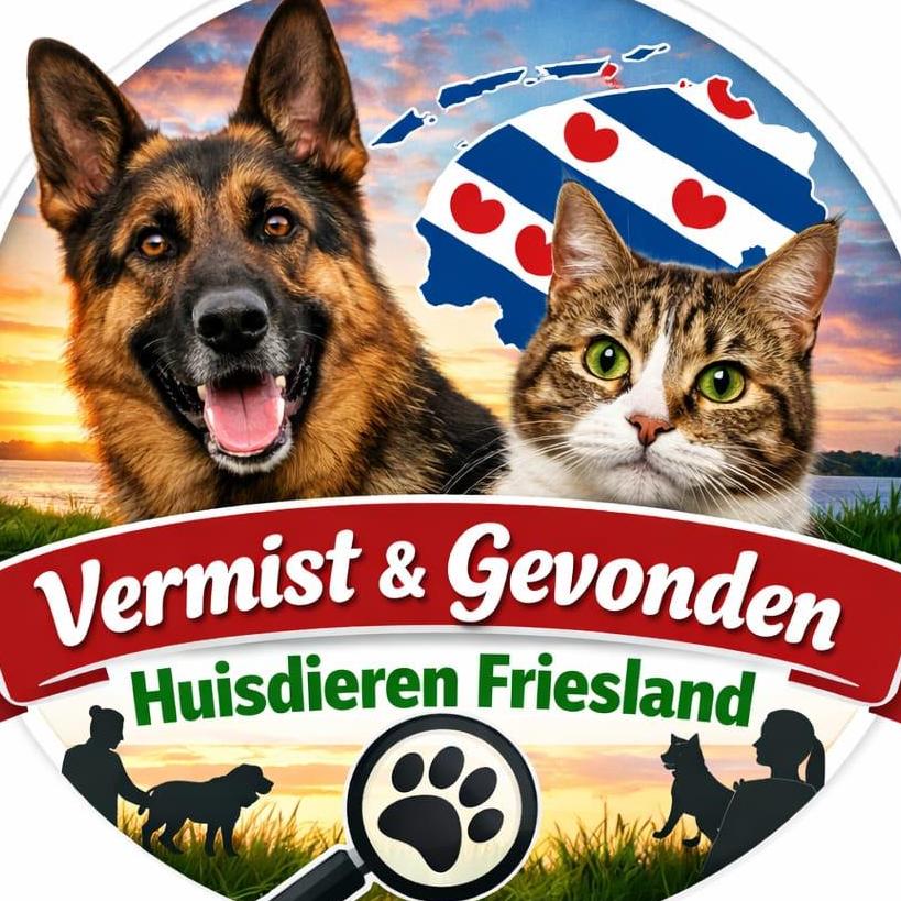 🐾📢  Vermist & Gevonden Huisdieren Friesland! 📢🐾