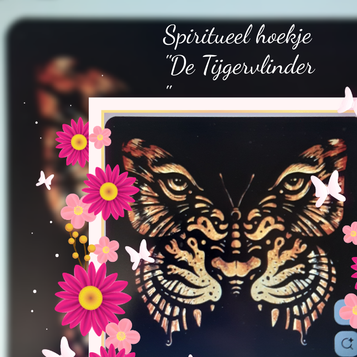  Spiritueel Hoekje "De Tijgervlinder"