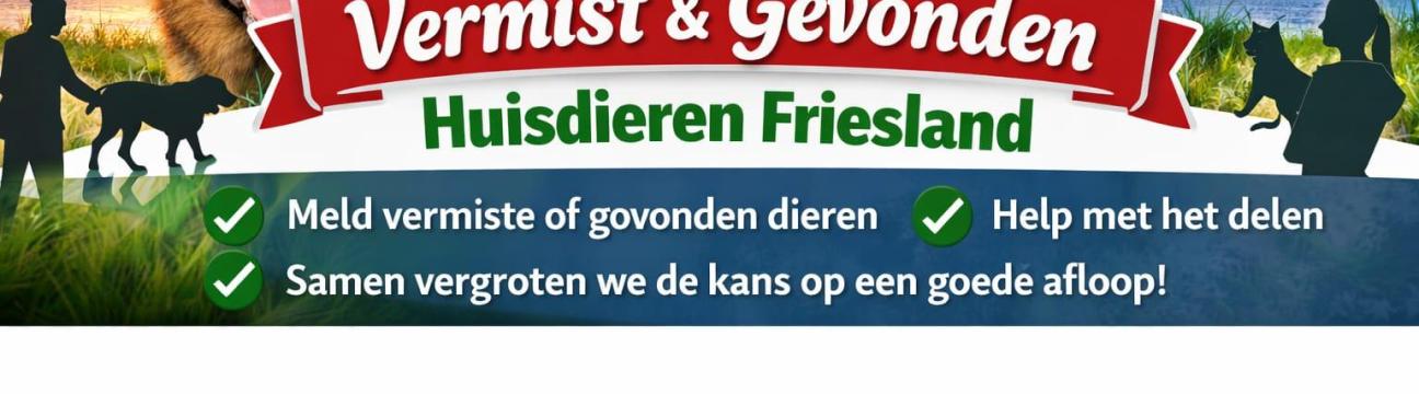 🐾📢  Vermist & Gevonden Huisdieren Friesland! 📢🐾