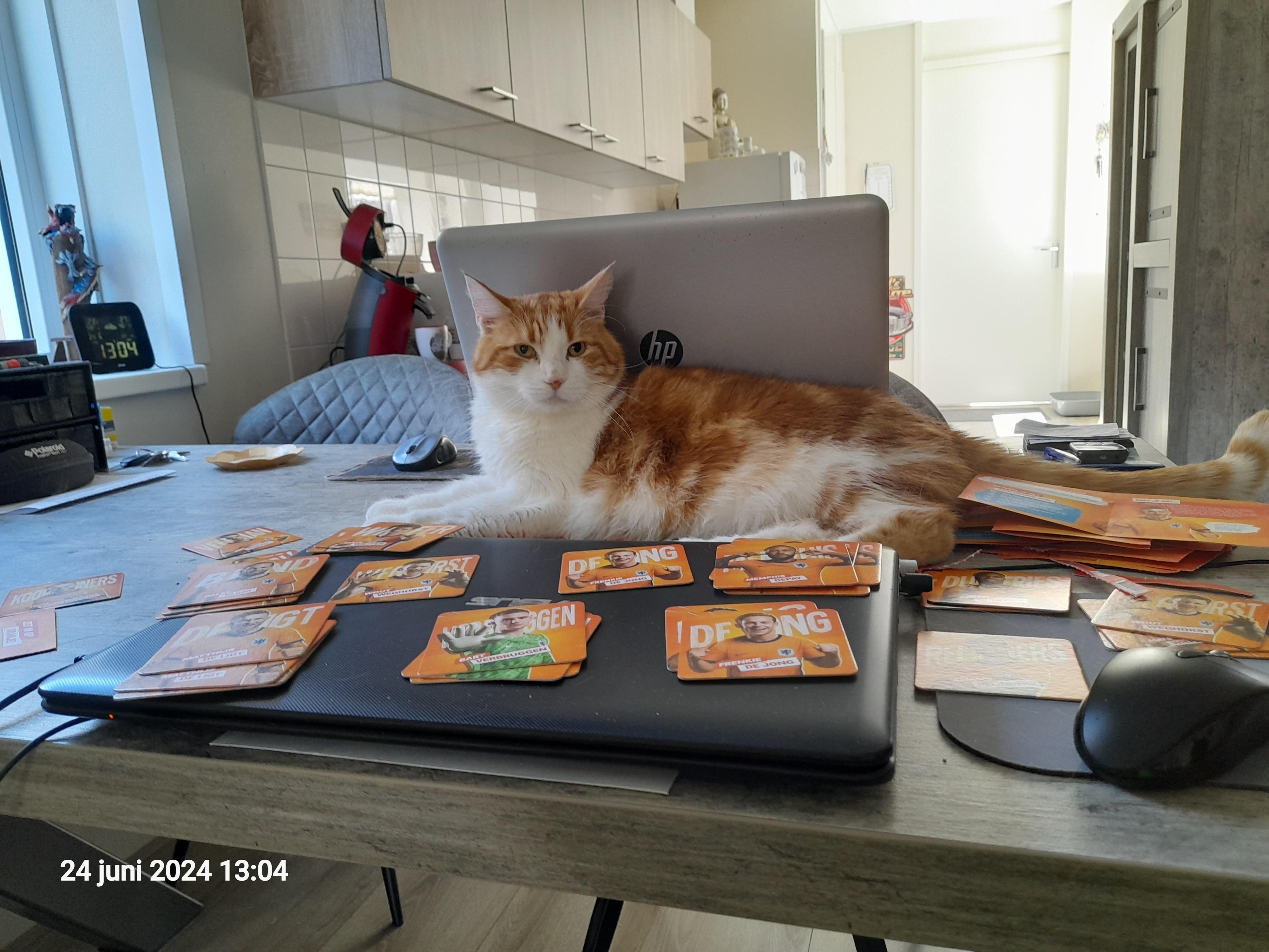 Simba&acute;s belevenissen