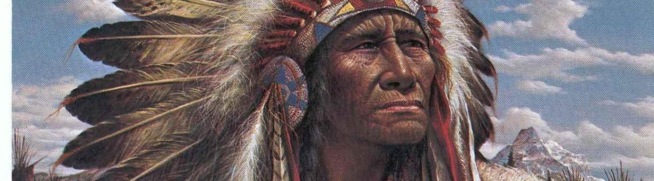 Nancy`s native american group