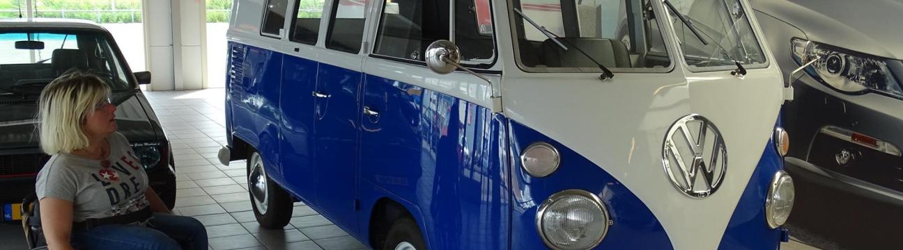 Handicap en zelfspot